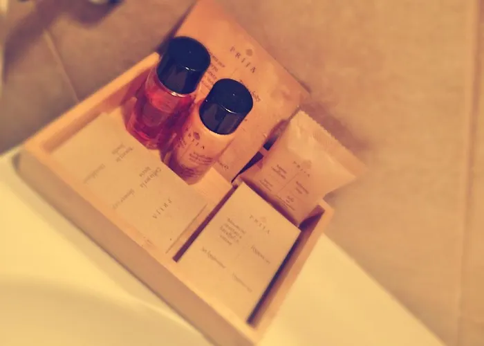 레시덴자 마르케시 폰테나니 *